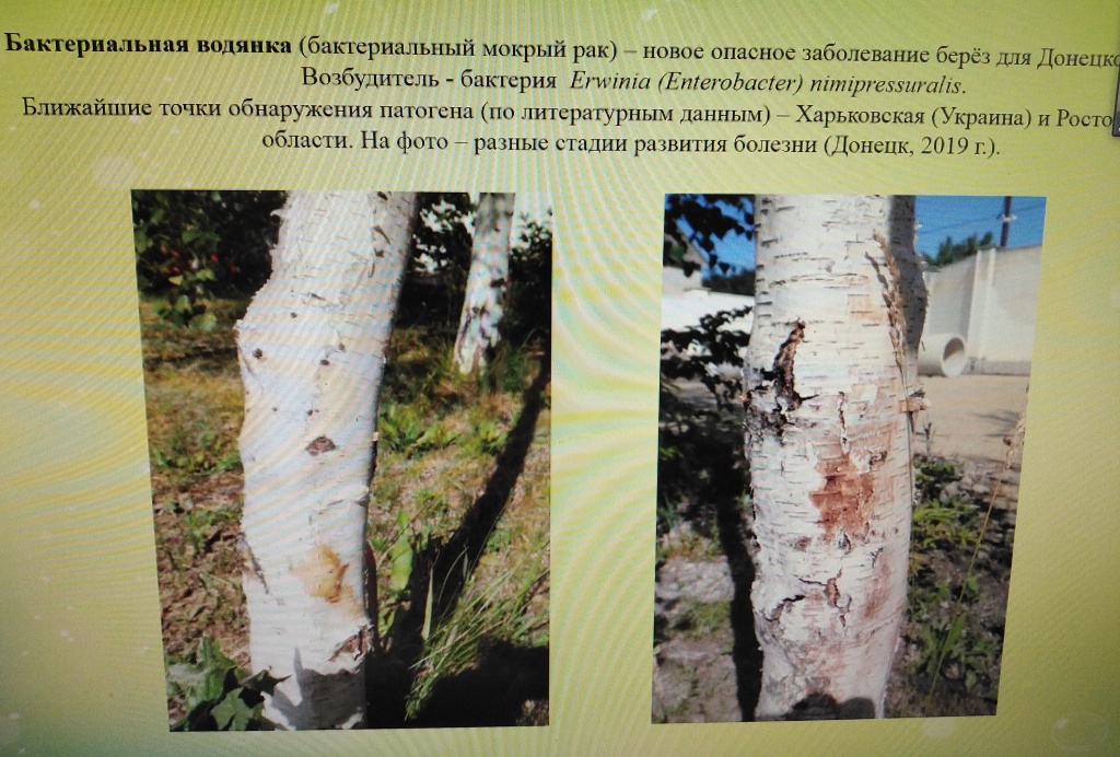 семинар_20220216_124223.jpg