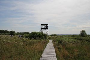 IMG_9074.jpg
