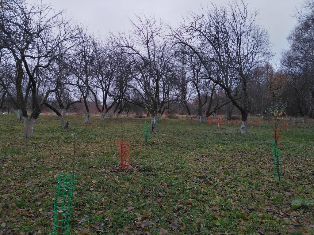 IMG_20201113_093837.jpg