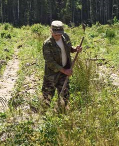 Агротехнический ухол за лесными культурами.jpg