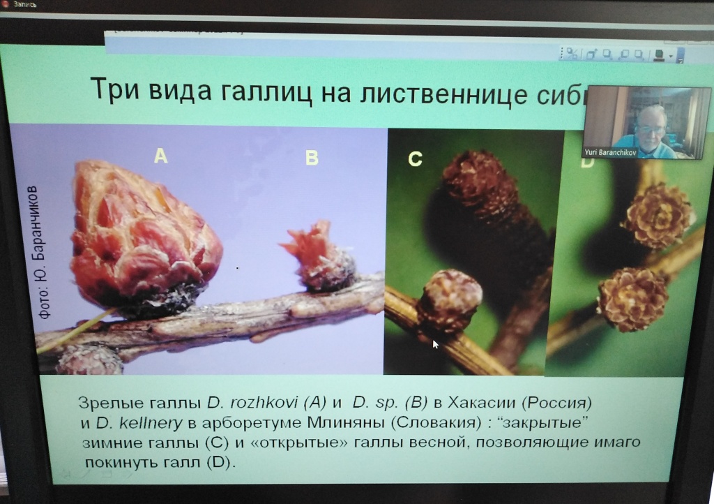 семинар_20220216_104734.jpg