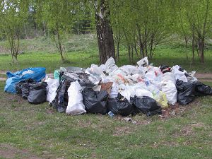 IMG_2259.jpg