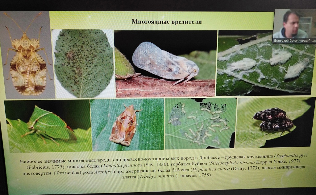 семинар_20220216_125830.jpg